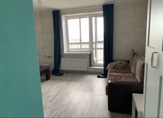 Сдам в аренду квартиру студию, 28 м2, Мурино, улица Шувалова, 14, ЖК Созвездие