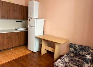 Продажа однокомнатной квартиры, 28 м2, Краснодарский край, Северный переулок, 6к2