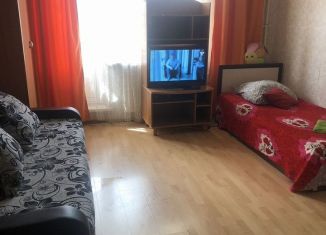 Квартира в аренду студия, 25 м2, посёлок Шушары, Московское шоссе