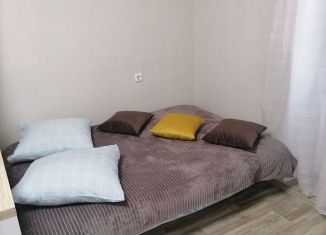 Сдается в аренду квартира студия, 33.3 м2, Томск, Дальне-Ключевская улица, 16А