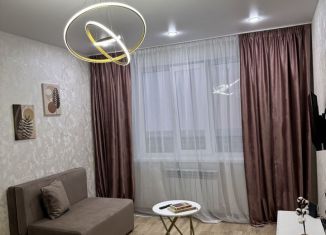 Сдам 1-комнатную квартиру, 35 м2, Смоленская область, Краснинское шоссе, 6В