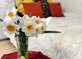 Сдам однокомнатную квартиру, 35 м2, Новгородская область, Десятинная улица, 33/8