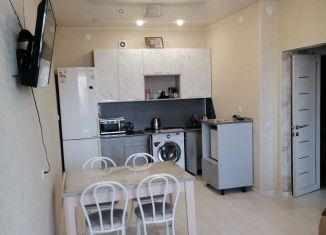 Продам 2-комнатную квартиру, 47.5 м2, Чита, улица Генерала Белика, 8