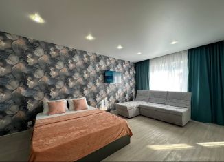 Квартира в аренду студия, 40 м2, Оренбург, Уральская улица, Ленинский район