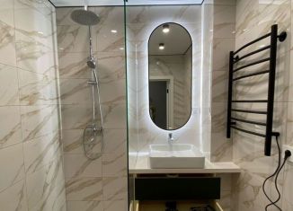 Сдаю в аренду квартиру студию, 21.4 м2, село Витязево, Промышленная улица, 2