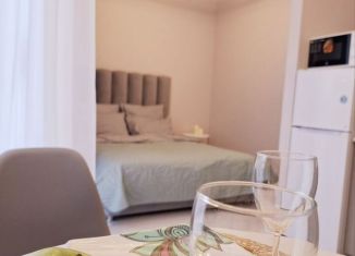 Аренда квартиры студии, 26.1 м2, Екатеринбург, улица 8 Марта, 204Г/1, метро Геологическая