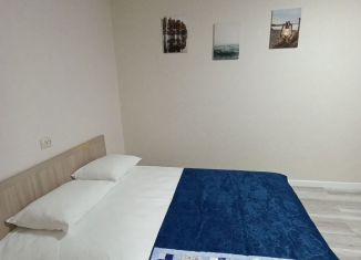 Сдается в аренду 1-ком. квартира, 34 м2, Псков, Юбилейная улица, 91