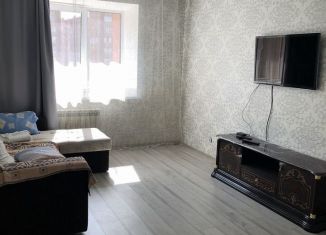 Сдаю 1-ком. квартиру, 46 м2, Йошкар-Ола, улица Петрова, 31, микрорайон Молодёжный