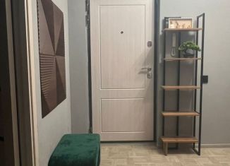 Сдается в аренду однокомнатная квартира, 40 м2, поселок Зональная Станция, улица Королёва, 16