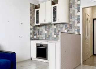 Продается квартира студия, 20.2 м2, Кудрово, Пражская улица, 4