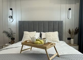 Сдам в аренду однокомнатную квартиру, 45 м2, Йошкар-Ола, улица Конакова, 64