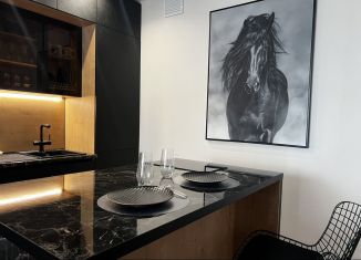 Сдаю в аренду однокомнатную квартиру, 43 м2, Удмуртия, улица Шишкина, 28