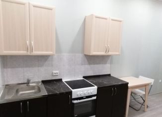 Сдача в аренду квартиры студии, 22 м2, Сертолово, Пограничная улица, 4к3