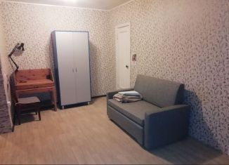 Сдача в аренду 1-комнатной квартиры, 35 м2, Псков, Вокзальная улица, 40