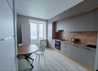 Аренда двухкомнатной квартиры, 66.4 м2, Йошкар-Ола, Прибрежный проезд, 2