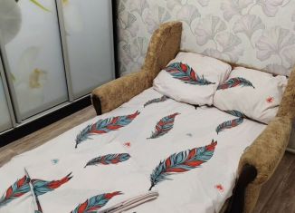 Сдача в аренду однокомнатной квартиры, 22 м2, Новомосковск, улица Мира, 3