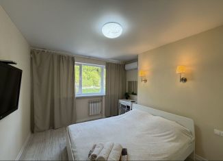 Продаю 1-комнатную квартиру, 36 м2, село Раздольное, Тепличная улица, 75к1