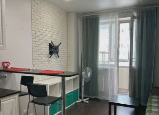Продается квартира студия, 23.5 м2, Кудрово, Австрийская улица, 4к1