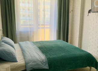 Сдается однокомнатная квартира, 30 м2, поселок городского типа Афипский, улица Победы, 17