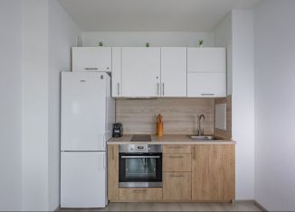 Продам однокомнатную квартиру, 31.3 м2, Санкт-Петербург, Кузнецовская улица, 58к1, муниципальный округ Гагаринское