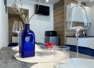 Сдам в аренду квартиру студию, 28.6 м2, Тюмень, улица Валентины Трофимовой, 12, ЖК Пятый квартал