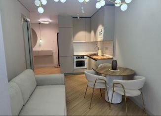 Однокомнатная квартира в аренду, 46 м2, Сочи, переулок Трунова, 6к2, микрорайон Завокзальный