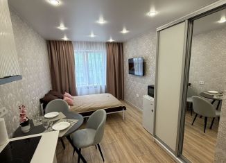 Квартира в аренду студия, 19 м2, Республика Башкортостан, улица Софьи Перовской, 22