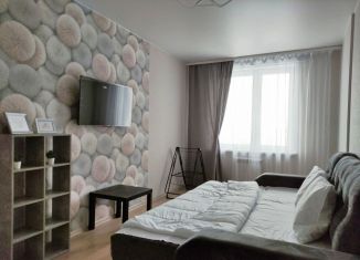 Сдаю в аренду 1-ком. квартиру, 35 м2, Омск, улица Крупской, 13/1