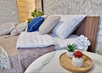 Сдаю в аренду 1-комнатную квартиру, 45 м2, Нижний Новгород, улица Маршала Баграмяна, 3, ЖК Маршал Град