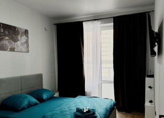 Сдается в аренду 1-комнатная квартира, 40 м2, Краснодар, Воронежская улица, микрорайон Черемушки