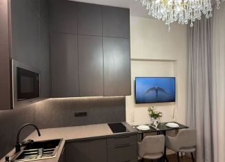 Аренда 1-комнатной квартиры, 30 м2, Сочи, улица Конституции СССР, 18, микрорайон Центральный