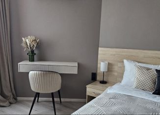 Сдается в аренду 1-комнатная квартира, 46 м2, Саратов, улица имени И.В. Мичурина, 18/68