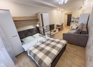 Сдача в аренду 1-комнатной квартиры, 31 м2, Сочи, улица Бытха, 41, микрорайон Бытха