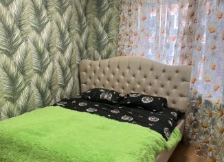 Сдается квартира студия, 28 м2, Архангельск, Новгородский проспект, 93