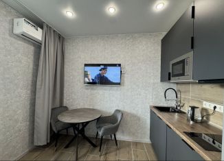 Сдам в аренду квартиру студию, 22 м2, Санкт-Петербург, Планерная улица, 97к1, Приморский район