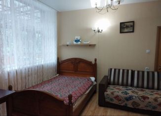 Сдаю 1-комнатную квартиру, 30 м2, Сочи, улица Аллея Челтенхема, 100