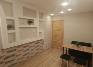 Сдача в аренду 1-ком. квартиры, 60 м2, Псков, Рижский проспект, 47