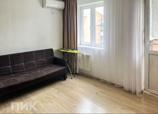 Сдам квартиру студию, 23 м2, посёлок Берёзовый, улица имени Туполева А.Н., 1, ЖК Прогресс