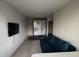 Сдаю в аренду 1-комнатную квартиру, 31 м2, Татарстан, Октябрьская улица, 16