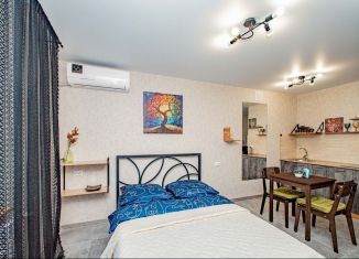 Сдаю в аренду квартиру студию, 27 м2, Саратов, улица имени Николая Чихарева, 10, ЖК Радуга