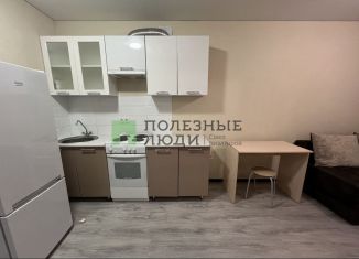 Продажа квартиры студии, 27 м2, Саратовская область, Огородная улица, 157