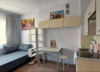 Аренда квартиры студии, 19 м2, Всеволожск, Степной проспект, 16к1