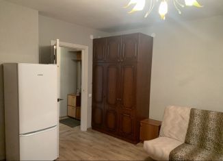 Сдается квартира студия, 26 м2, Нижний Новгород, Новокузнечихинская улица, 14