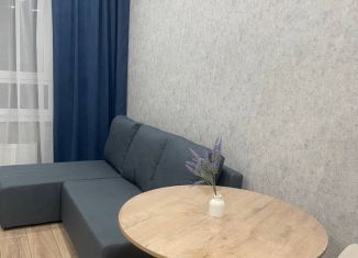 Сдается 1-ком. квартира, 37 м2, Тюмень, улица Фармана Салманова, 15, Калининский округ