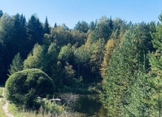 Продажа участка, 6 сот., Пермь, СНТ Парма, 141