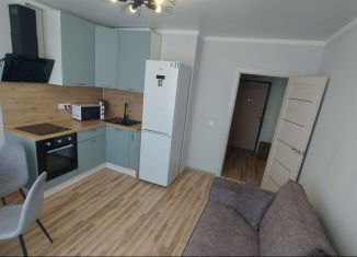 Сдается в аренду 2-комнатная квартира, 38 м2, Ростов-на-Дону, улица Ерёменко, 114/1с1, ЖК Пятый Элемент