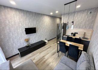 Аренда квартиры студии, 27 м2, деревня Куюки, Молодёжная улица, 29