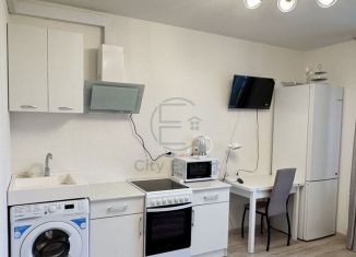 Сдаю в аренду квартиру студию, 20 м2, посёлок Шушары, Старорусский проспект, 13к1