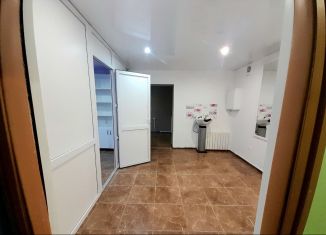 Сдам офис, 44.9 м2, Смоленск, улица Николаева, 87