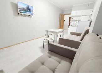 Аренда однокомнатной квартиры, 54 м2, Мурино, улица Шоссе в Лаврики, 67